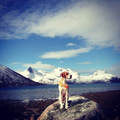 10320466_10152041197475706_7497248214838531300_n