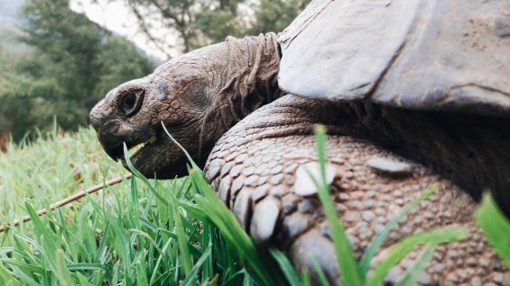 Processed with VSCO with a6 preset